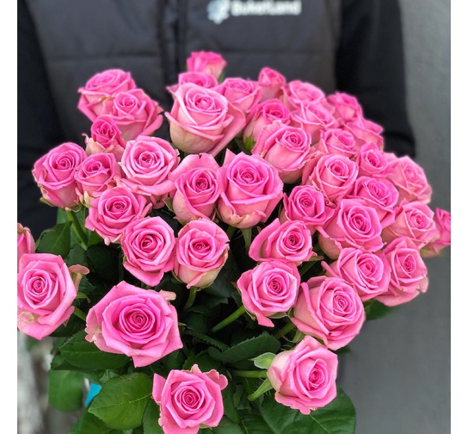 41 роза Аква