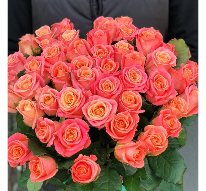 41 роза Мисс Пигги 60 см