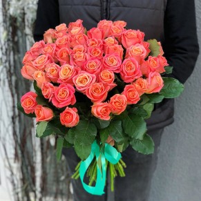 41 роза Мисс Пигги 60 см