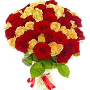 51 красная и кремовая роза Пич Аваланч ГранПри 60 см