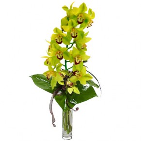 Букет "Дикая орхидея"