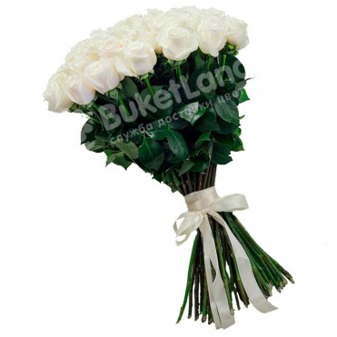 49 белых голландских роз Mondial/White Chocolate