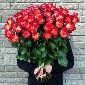 49 еквадорських троянд Ігуаза 90-100 см 49 еквадорських троянд Ігуаза 90-100 см