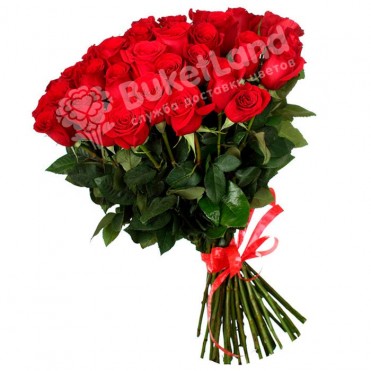 49 красных голландских роз Freedom