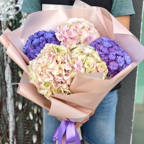 5 гортензії в асортименті 5 гортензії в асортименті