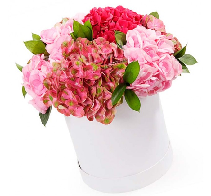 5 гортензий микс в шляпной коробке