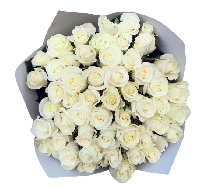 51 біла троянда 50 см Білуга