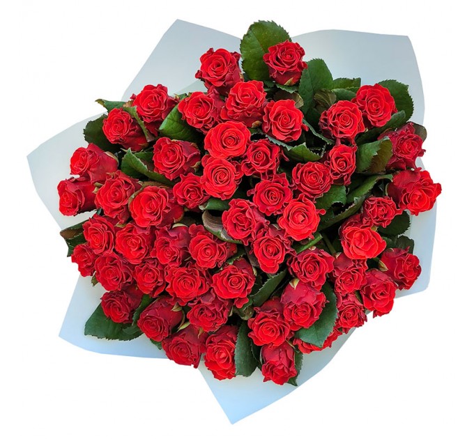 51 червона троянда 50 см Ель Торо