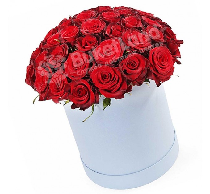 51 красная роза в шляпной коробке