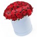 51 красная роза в шляпной коробке
