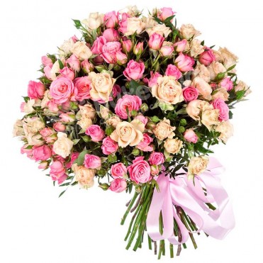 51 кущова троянда бежево-рожева