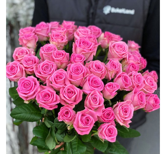 51 роза Аква