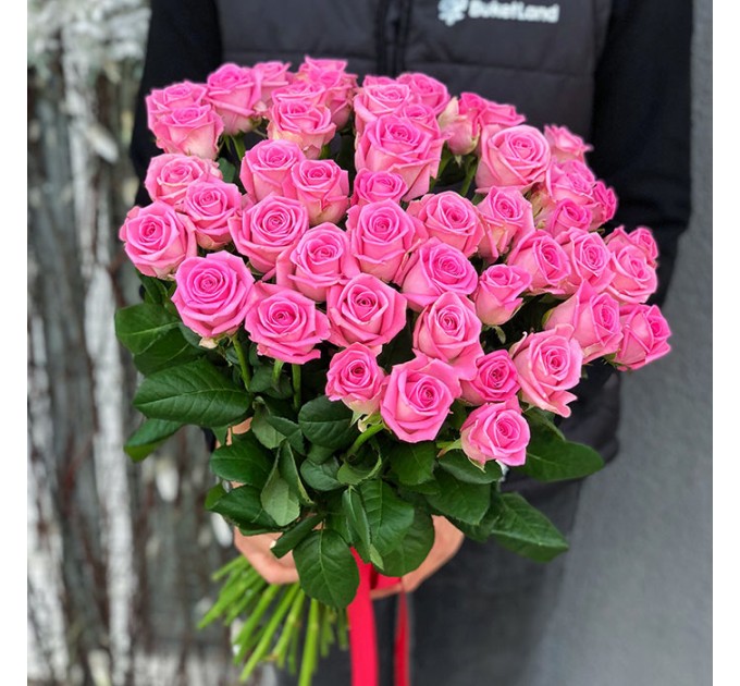 51 роза Аква