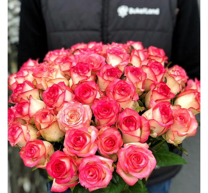 51 роза Джумилия