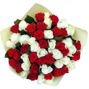 51 роза микс красно-белая 50 см Белуга и Эль Торо