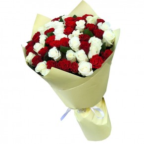 51 роза микс красно-белая 50 см Белуга и Эль Торо