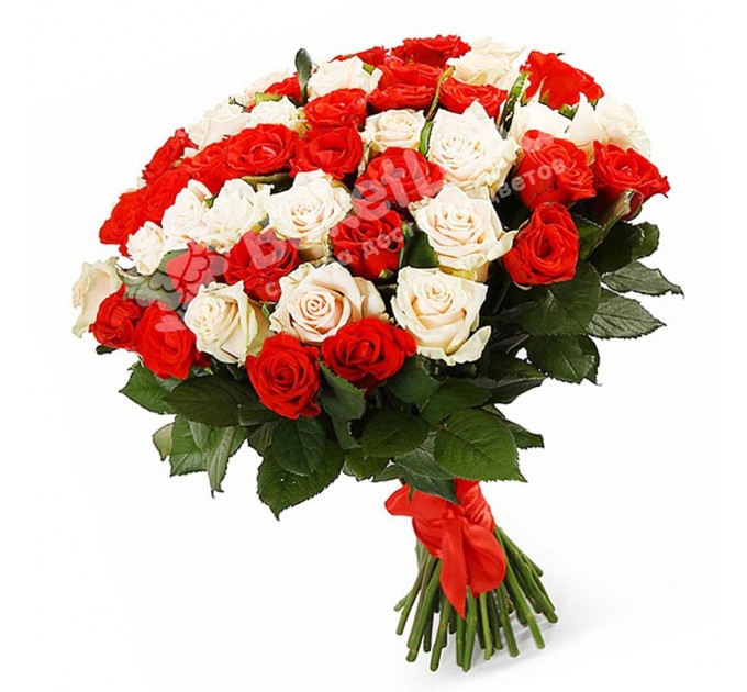 51 роза микс «красно-белая» 60 см