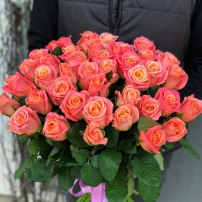 51 троянда Міс Піггі 60 см 51 троянда Міс Піггі 60 см