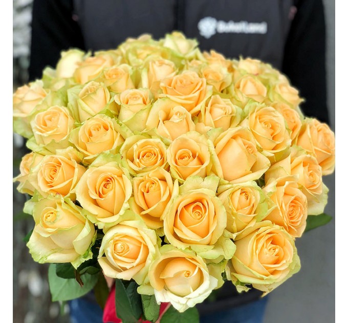 51 роза Пич Аваланч