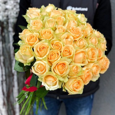 51 роза Пич Аваланч