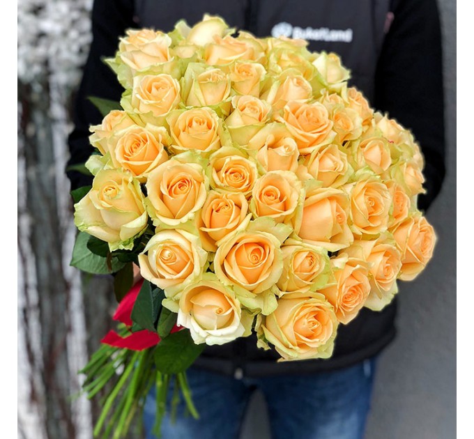 51 роза Пич Аваланч