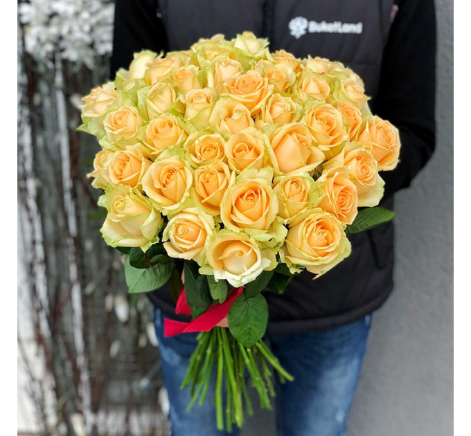 51 роза Пич Аваланч