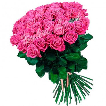 51 розовая роза 80 см