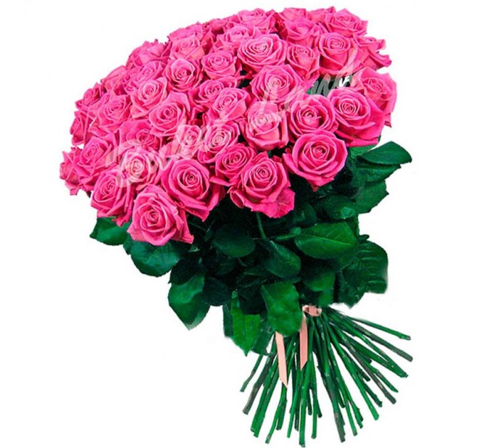 51 розовая роза 80 см