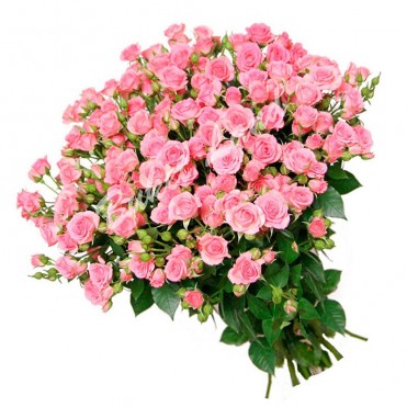 51 веточка розовой розы спрей 60 см