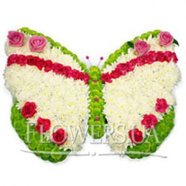 Цветочная бабочка