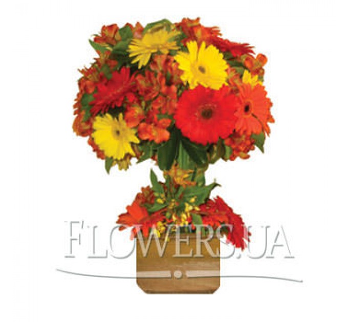 Цветочный бонсай