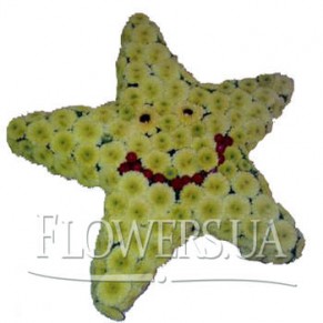 Звездочка моя