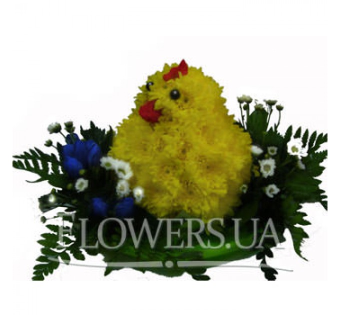 Забавный цыпленок