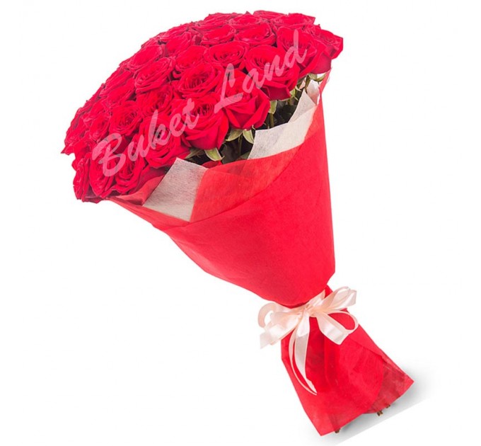 59 красных роз Гран При 60 см