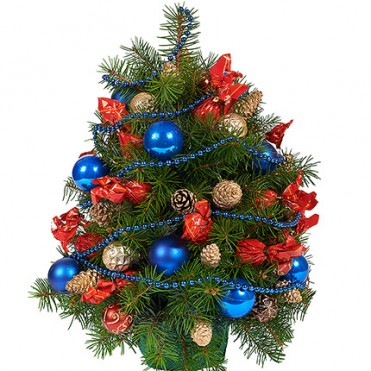 Ялинка "Новорічна ніч"