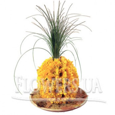 Цветочный ананас
