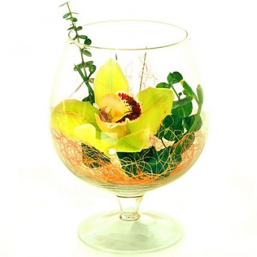 Орхидея в бокале