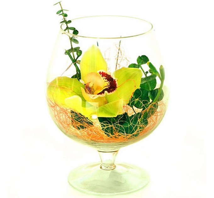 Орхидея в бокале