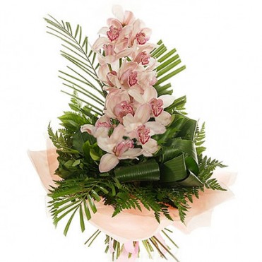 Ветка Орхидей