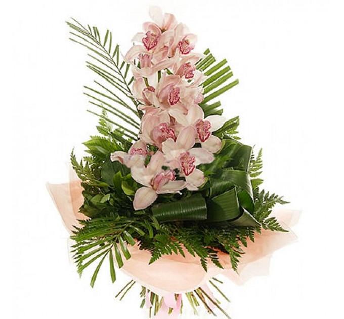 Ветка Орхидей