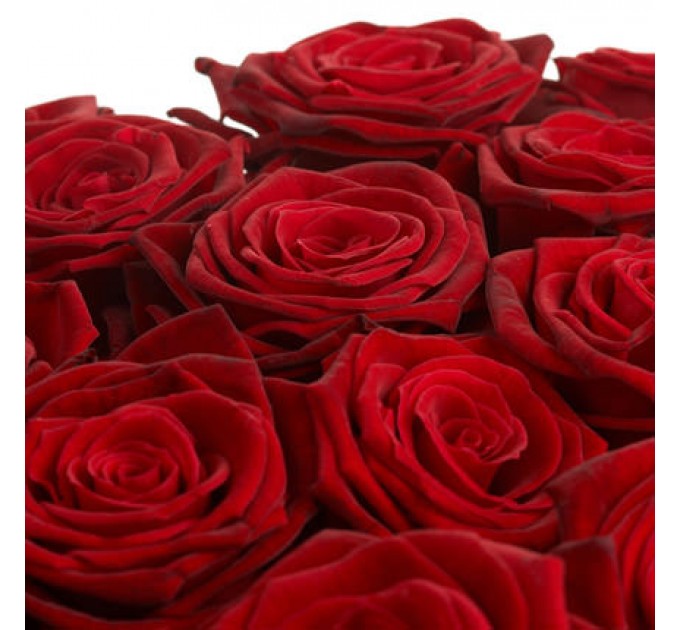 Роза красная (поштучно)