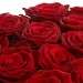 Роза красная (поштучно)