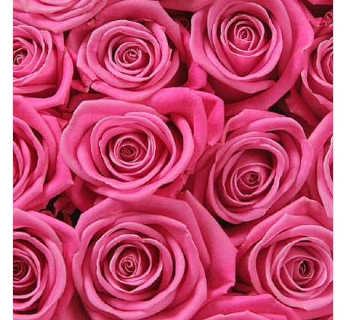 Роза розовая (поштучно)