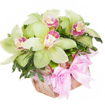 7 орхидей в оазисе