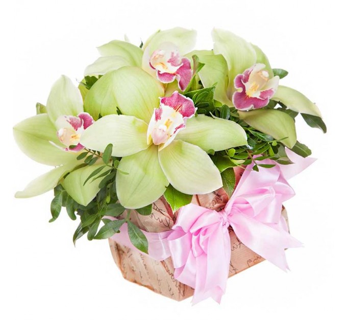 7 орхидей в оазисе