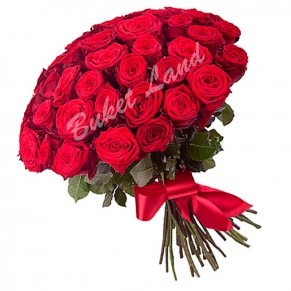 71 червона троянда Гран При 60 см