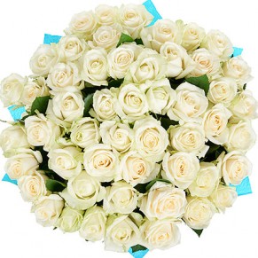 51 белая роза 60 см Аваланч