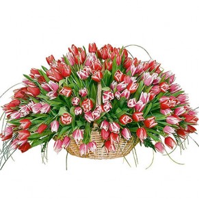 Корзина "Элит"