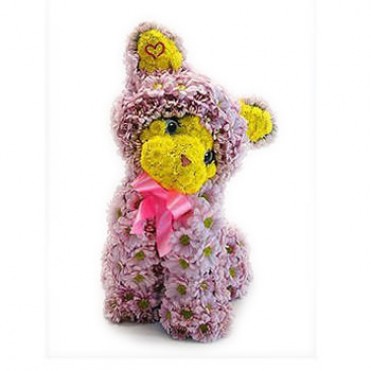 Цветочный котенок