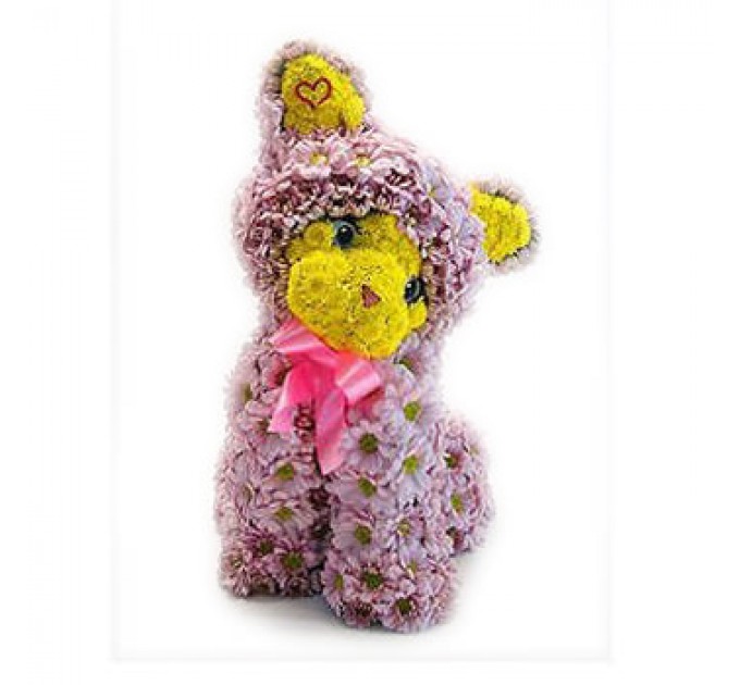 Цветочный котенок